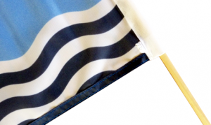 custom made hand waver custom made hand waver